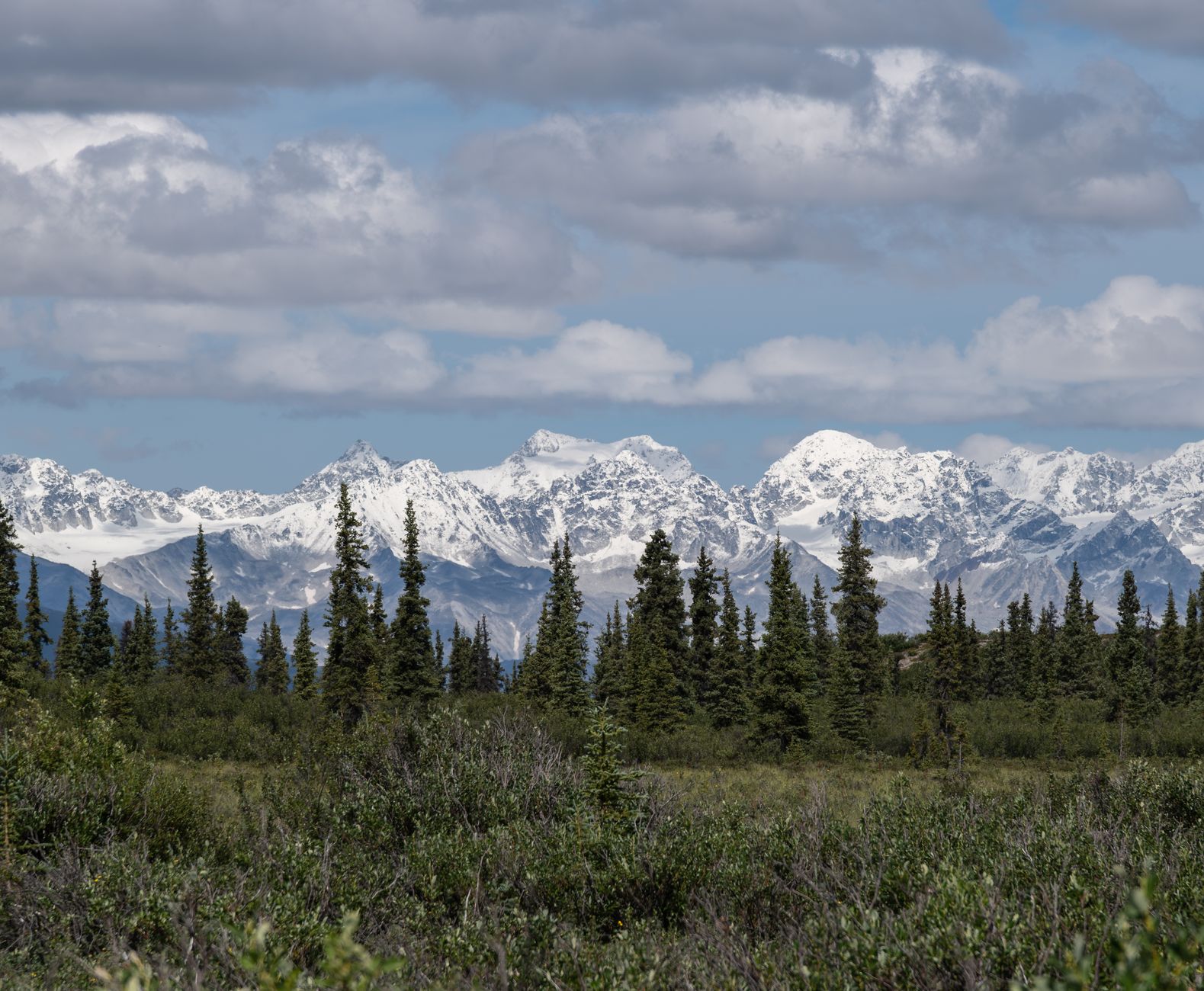 a view of the mountains from a forested area