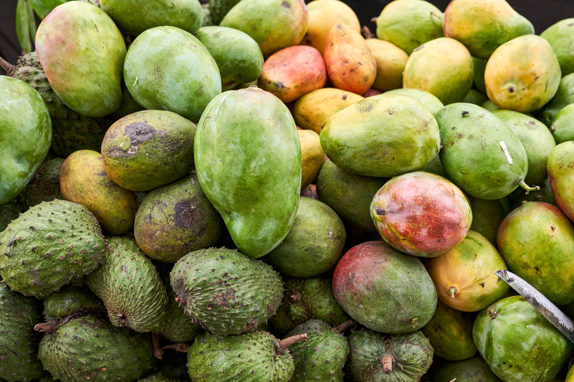 stack of tropical fruits